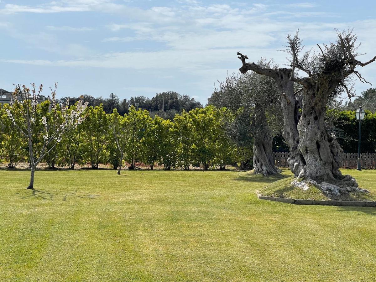 Masseria Giamarra Карпиньяно-Салентино Экстерьер фото