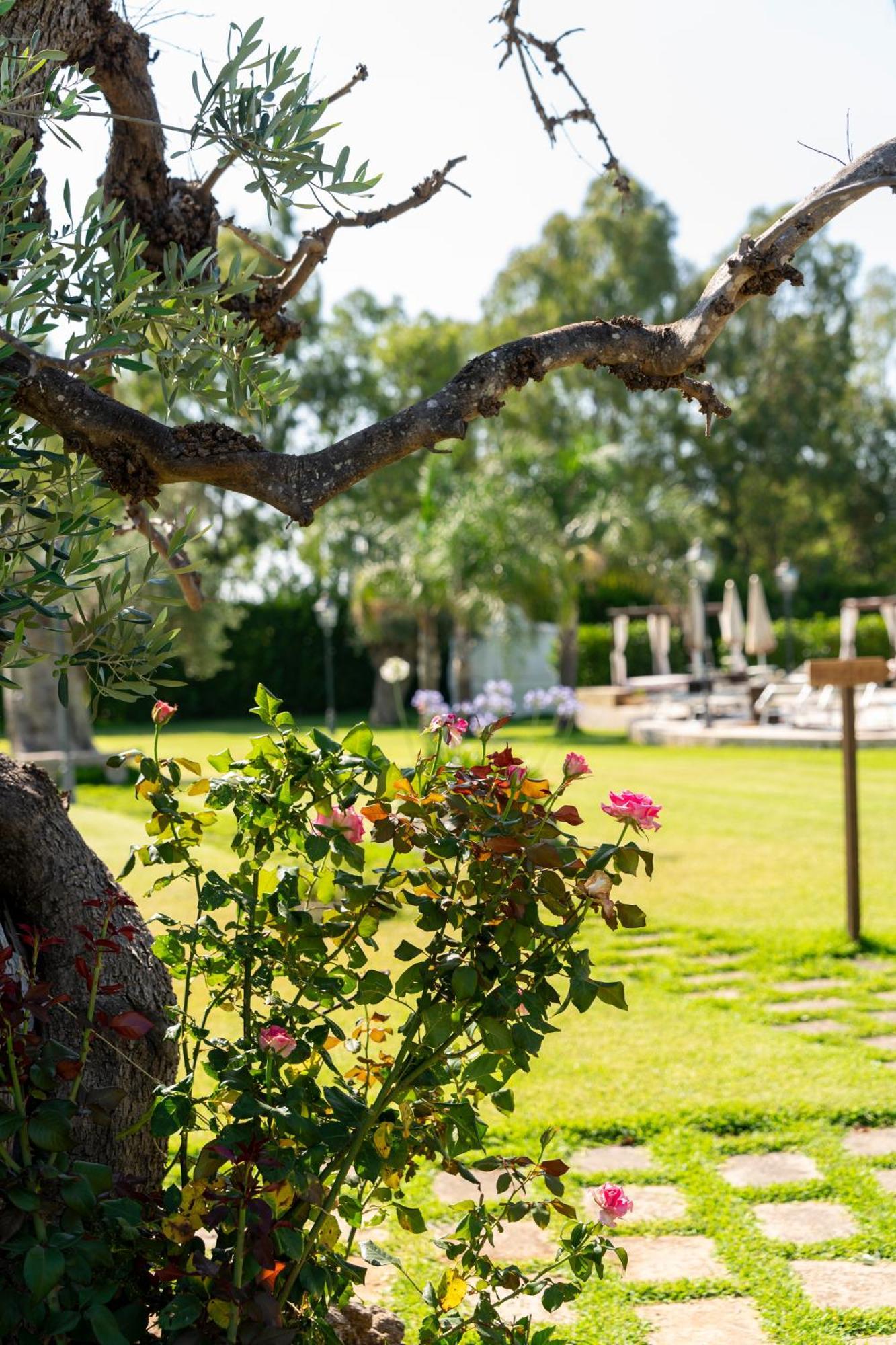Masseria Giamarra Карпиньяно-Салентино Экстерьер фото